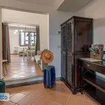 Rent 3 bedroom apartment of 70 m² in Florence