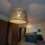 Rent 1 bedroom apartment in Capital City of Prague