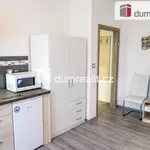 Rent 2 bedroom apartment of 30 m² in Luhačovice