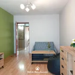 Rent 2 bedroom apartment of 49 m² in Łódź