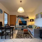 Rent 2 bedroom apartment of 50 m² in Florence