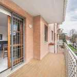 Rent 1 bedroom apartment in Bologna