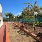 Rent 4 bedroom house of 215 m² in Altavilla Milicia