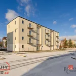 Rent 1 bedroom apartment in Kladno