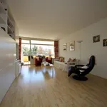 Rent 2 bedroom apartment of 54 m² in De Zuid