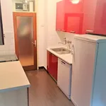 Rent 1 bedroom apartment of 35 m² in Zagreb