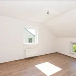 Rent 3 bedroom house in Paliseul