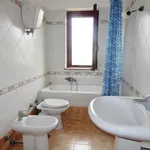 Rent 4 bedroom apartment of 145 m² in Settingiano