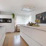 Rent 5 bedroom house of 165 m² in Leiden