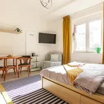 Studio o rozloze 26 m² v Prague