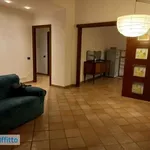 Rent 3 bedroom apartment of 90 m² in Cagliari