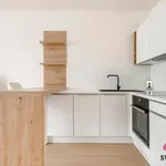 Rent 1 bedroom apartment in Prague