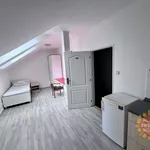 Pronajměte si 1 ložnic/e byt o rozloze 20 m² v Prague