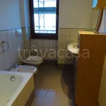 Rent 3 bedroom apartment of 118 m² in Segrate