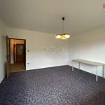 Rent 2 bedroom apartment of 60 m² in Opava