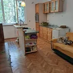 Rent 2 bedroom apartment of 60 m² in Център - ЦУМ