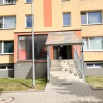 Rent 2 bedroom apartment of 52 m² in Duchcov