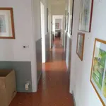 Affitto 3 camera appartamento di 85 m² in Santa Margherita Ligure