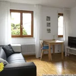 Rent 1 bedroom apartment of 32 m² in Umkirch