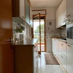 Rent 4 bedroom apartment of 96 m² in Roma