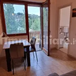 Rent 1 bedroom apartment of 34 m² in Perugia