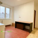 Rent 2 bedroom apartment in Sokolov