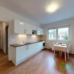 Rent 2 bedroom apartment of 40 m² in Brno