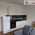 Rent 2 bedroom apartment in Capital City of Prague