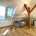 Rent 1 bedroom apartment of 55 m² in City of Zagreb