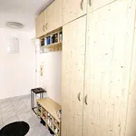 Pronajměte si 2 ložnic/e byt o rozloze 53 m² v Písek