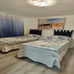 Rent 1 bedroom apartment in genoa