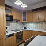 Rent 1 bedroom apartment of 52 m² in Brno