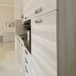 Rent 2 bedroom apartment of 55 m² in Turin