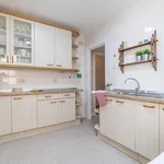 Alquilo 5 dormitorio apartamento de 237 m² en Murcia