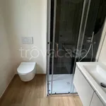 Rent 3 bedroom apartment of 80 m² in Bologna