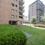 Rent 2 bedroom apartment of 65 m² in Milano