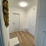 Rent 2 bedroom apartment of 55 m² in München