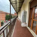 Rent 1 bedroom apartment of 20 m² in Bra