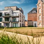 Rent 1 bedroom apartment in Dendermonde