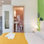 Rent 1 bedroom apartment of 35 m² in Firenze