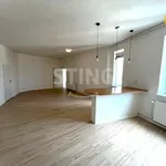 Rent 3 bedroom apartment of 97 m² in Ostrava