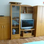 Rent 1 bedroom apartment of 43 m² in Praha