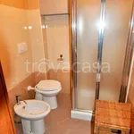 Rent 2 bedroom apartment of 50 m² in Novara