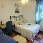 Rent a room of 100 m² in Sevilla