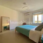 2-room flat Lungarno Trento e Trieste 21, Limite, Capraia e Limite