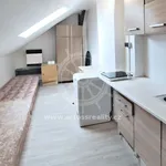 Rent 1 bedroom apartment in Brno