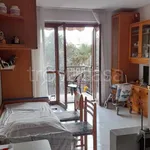 Rent 1 bedroom apartment of 35 m² in Nerviano