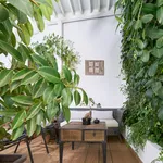 Studio of 30 m² in Valencia