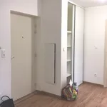 Appartement de 35 m² avec 1 chambre(s) en location à SELESTAT