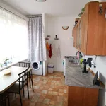 Rent 3 bedroom apartment of 66 m² in Děčín